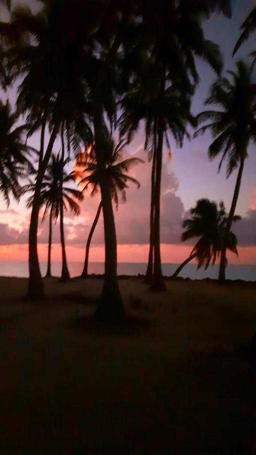 Mystic Maldives Mathiveri Retreat Extérieur photo